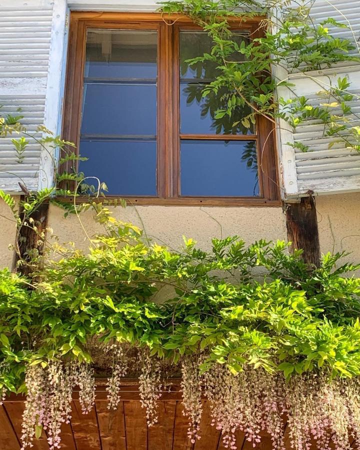La Ferme Du Puy D'Or Daire Limonest Dış mekan fotoğraf